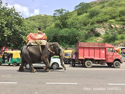 riding-elephants-on-the-street