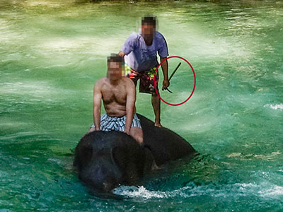 riding-elephants-in-the-water