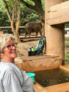 tanques-de-agua-potable-limpia-para-elefantes