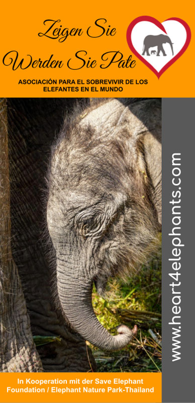 retten Elefantenpatenschaften Leben Flyer -