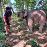 sukdee-elefantenpfleger